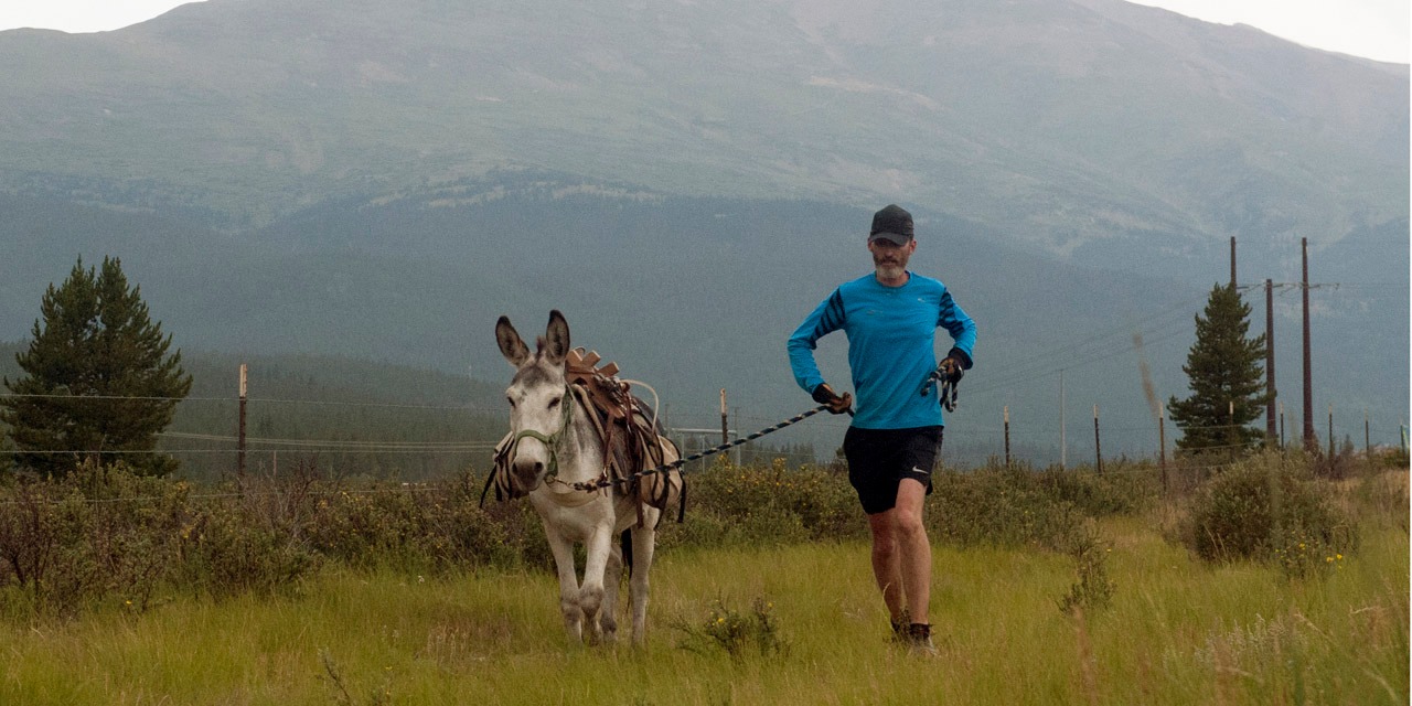 D Ou Vient L Expression Kif Kif Bourricot