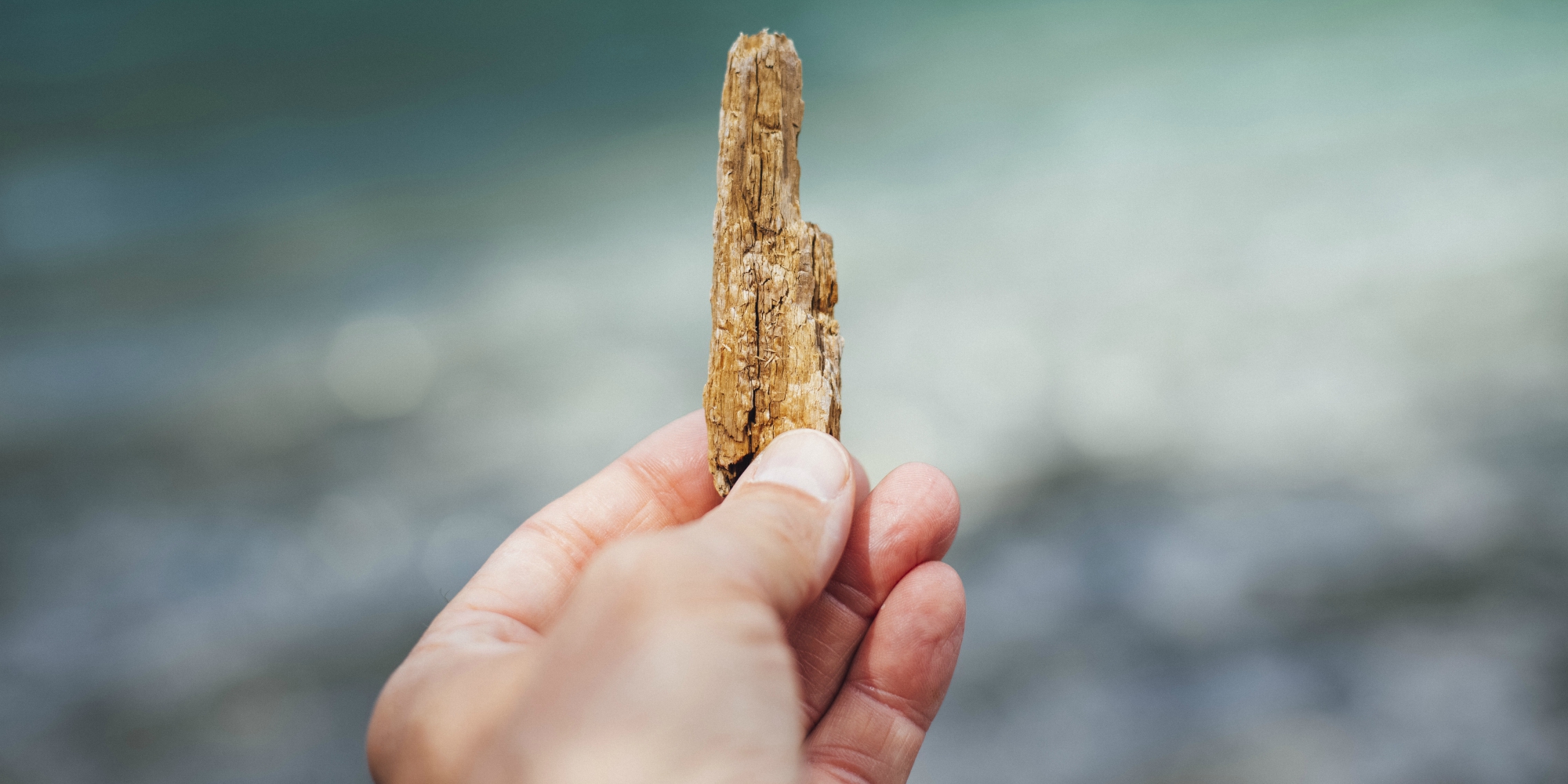 Where Does The Expression touch Wood Come From Teller Report