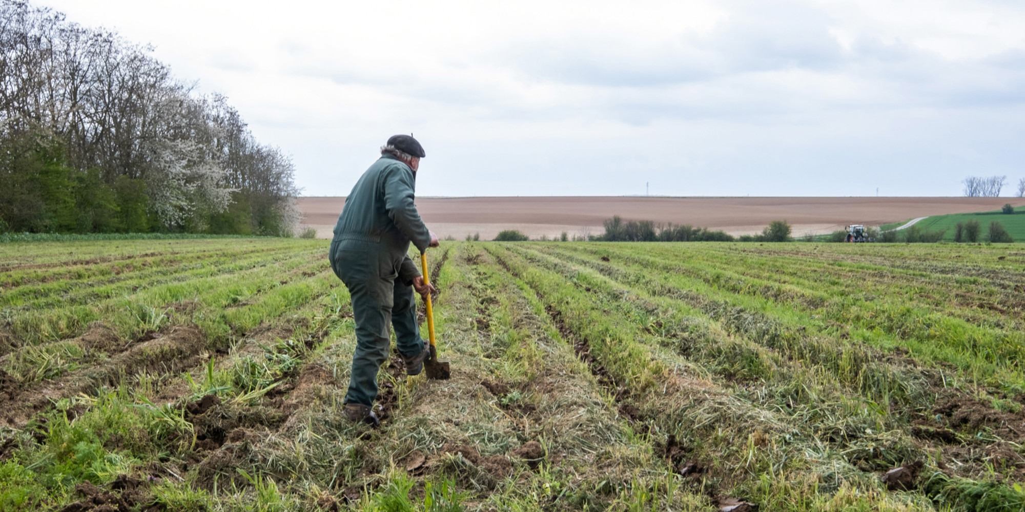 Agriculture : que contient le projet de loi d'orientation agricole présenté au Conseil des ministres ?