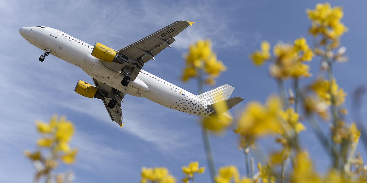 Annulation De 19 Vols Par Vueling Fortes Perturbations A Barcelone