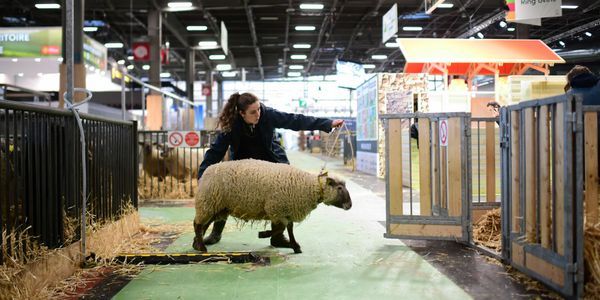 Annulation du salon de l'Agriculture : C'est une manifestation qui va nous manquer