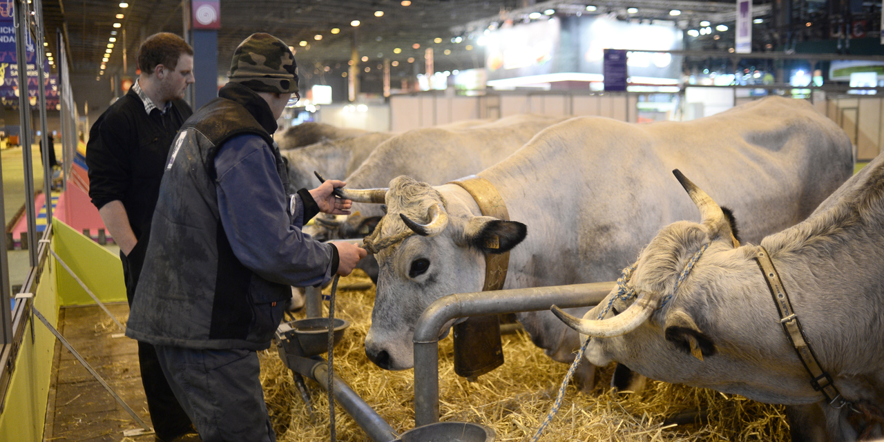 Combien Un Agriculteur Francais Nourrit Il De Personnes