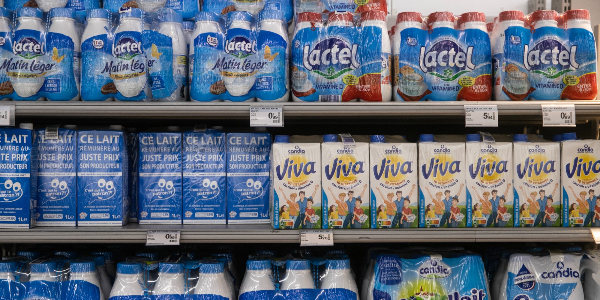 Pénurie : le lait sera-t-il bientôt introuvable dans nos supermarchés  ?