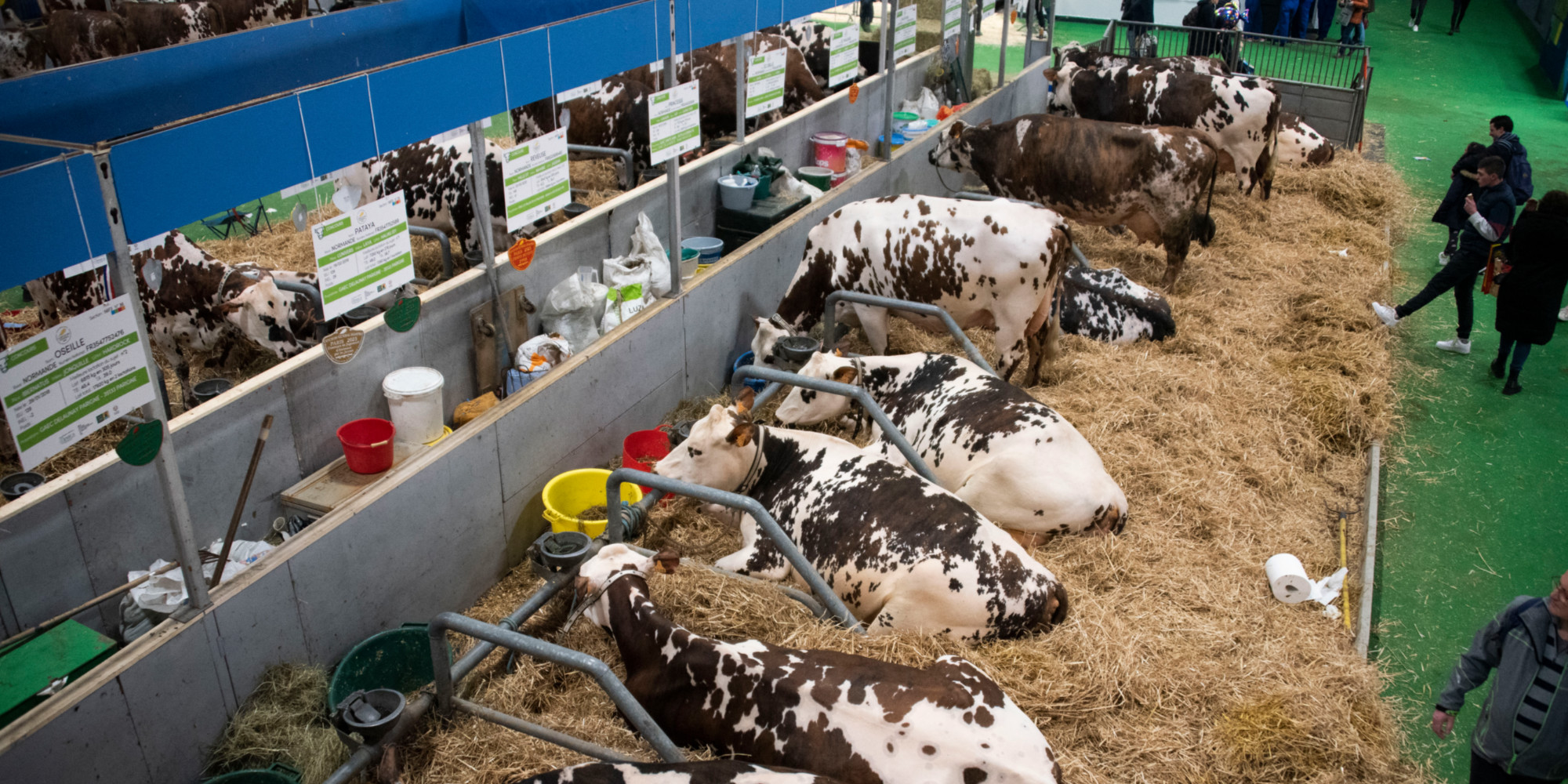 EUROPE 1 ET VOUS - Salon de l'Agriculture 2023 : malgré l'inflation, y fait-on de bonnes affaires  ?