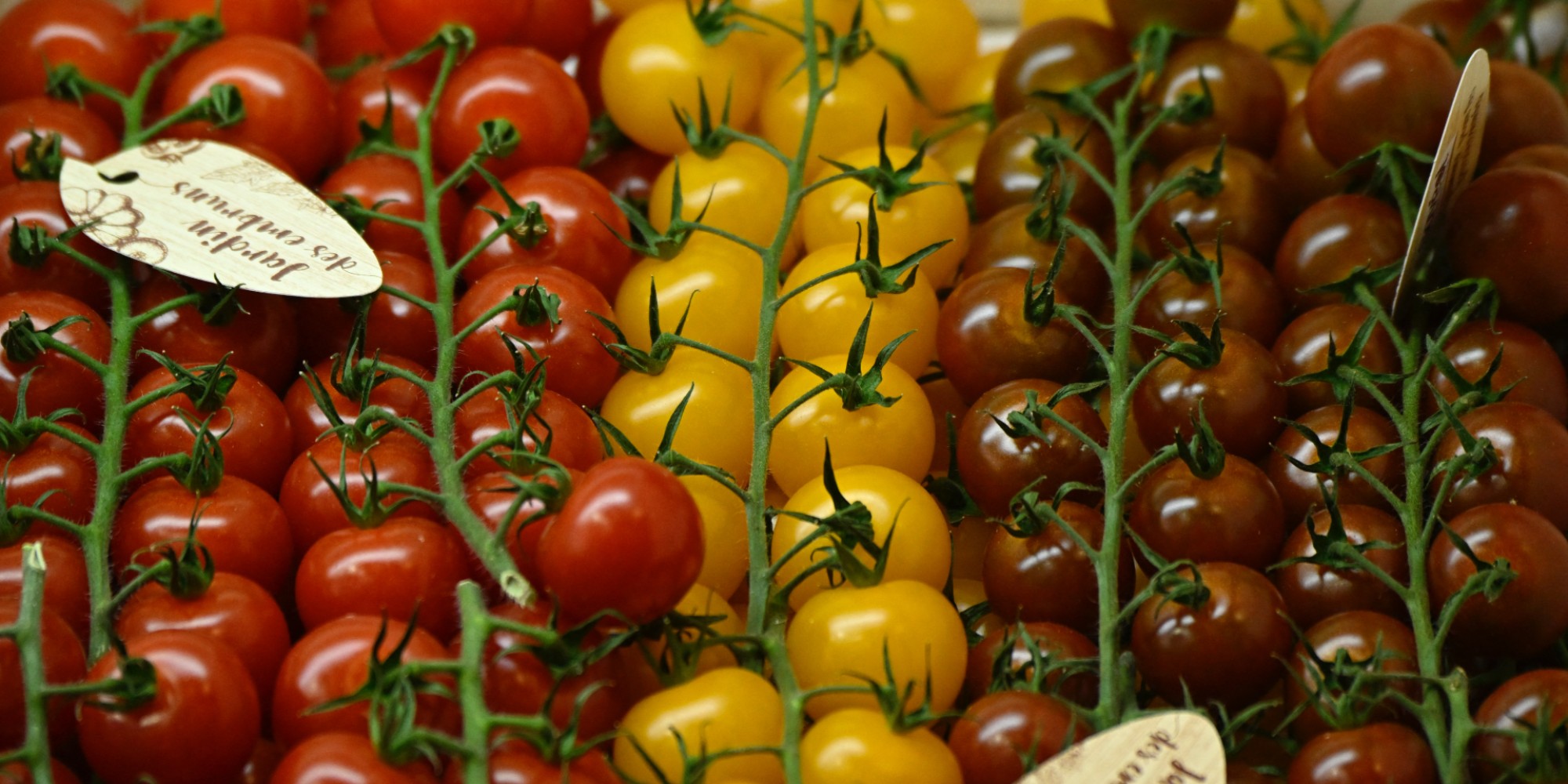 Les producteurs de tomates étouffés par la hausse des prix du gaz