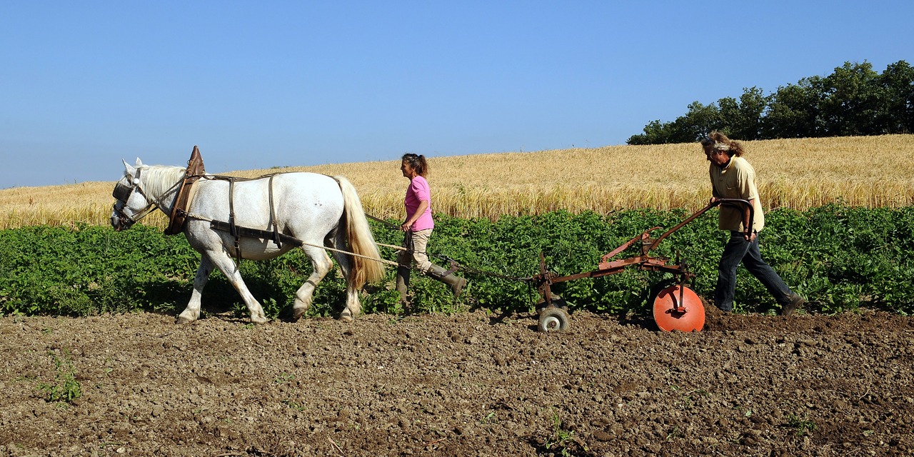 L'agriculture bio progresse en France et crée des emplois