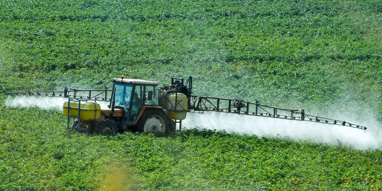 Pourquoi le glyphosa...