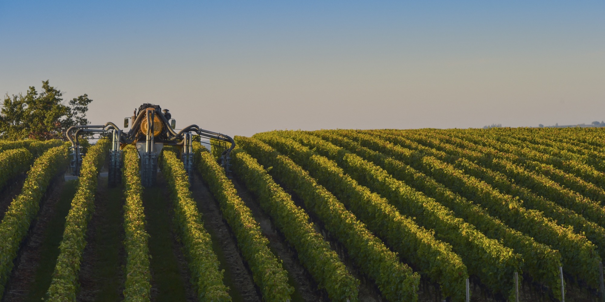 L’Italia en pas de redvenir Prima Produzione Montal, Devant la France