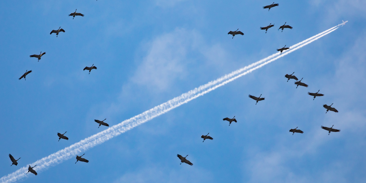 Les Trainees Blanches Des Avions Des Nuages De Pollution