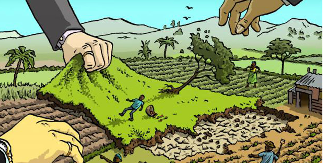 "Le land grabbing", ou l'accaparement des terres par les géants