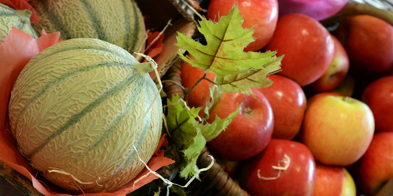 Quand peuton trouver du bon melon