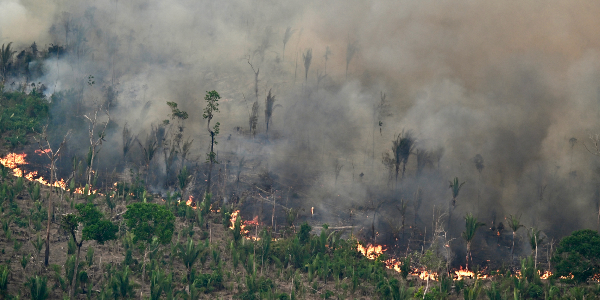 Le Brésil «en guerre» contre les incendies dans le sud-est Le Brésil «en guerre» contre les incendies dans le sud-est