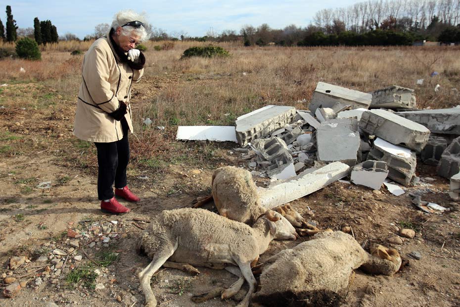 Perpignan Quatre Moutons Supplicies