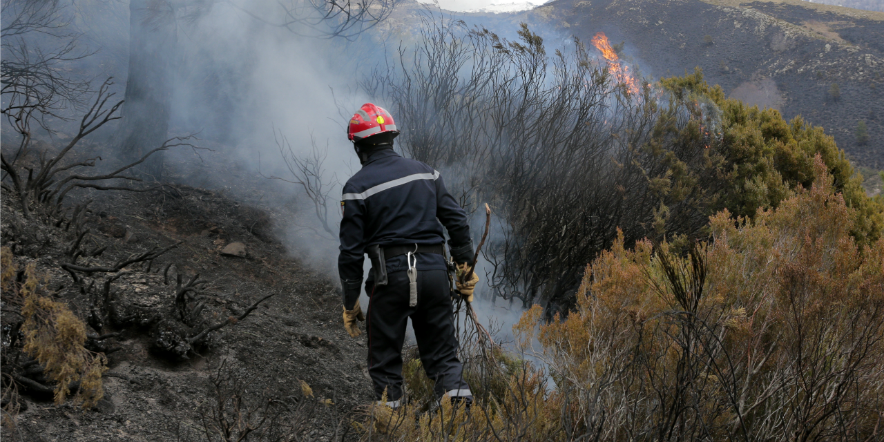 Var Un Feu De Foret Parcourt 460 Hectares Pres De Hyeres