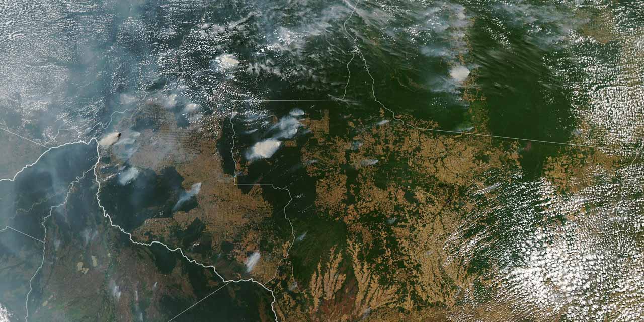 De Violents Feux Ravagent L Amazonie Pourquoi S Agit Il D Une Catastrophe Ecologique