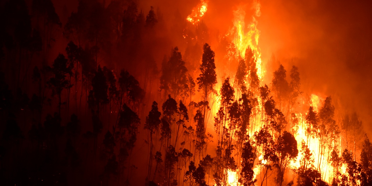 Incendie De Foret Au Portugal Un Francais Decede
