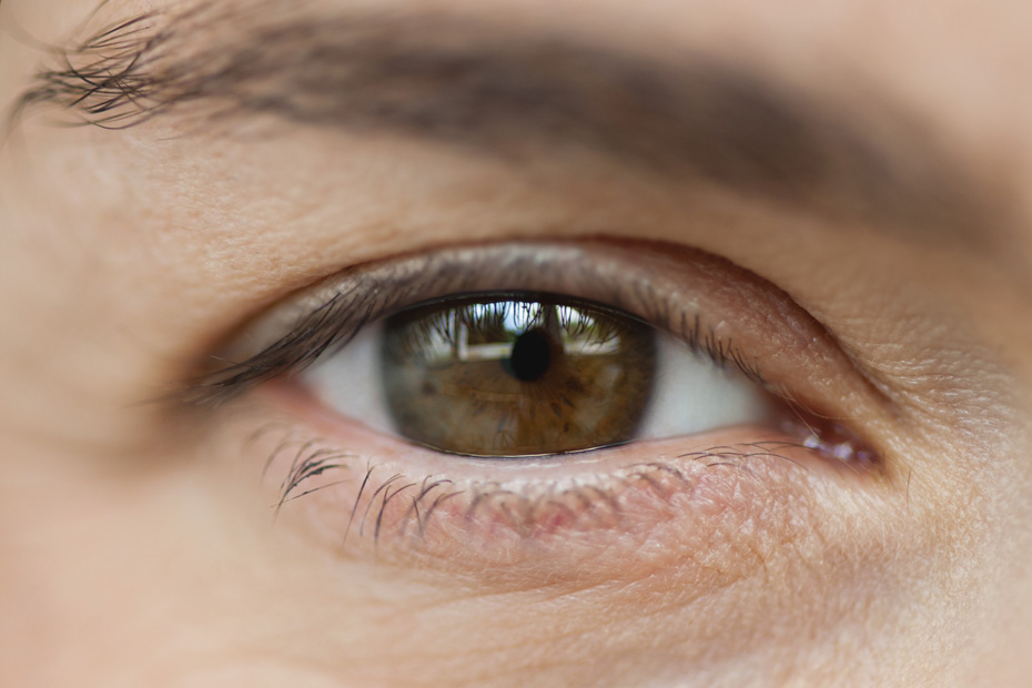 Le Lechage D œil Dangereuse Mode Sexuelle Le Lechage D œil Dangereuse Mode Sexuelle