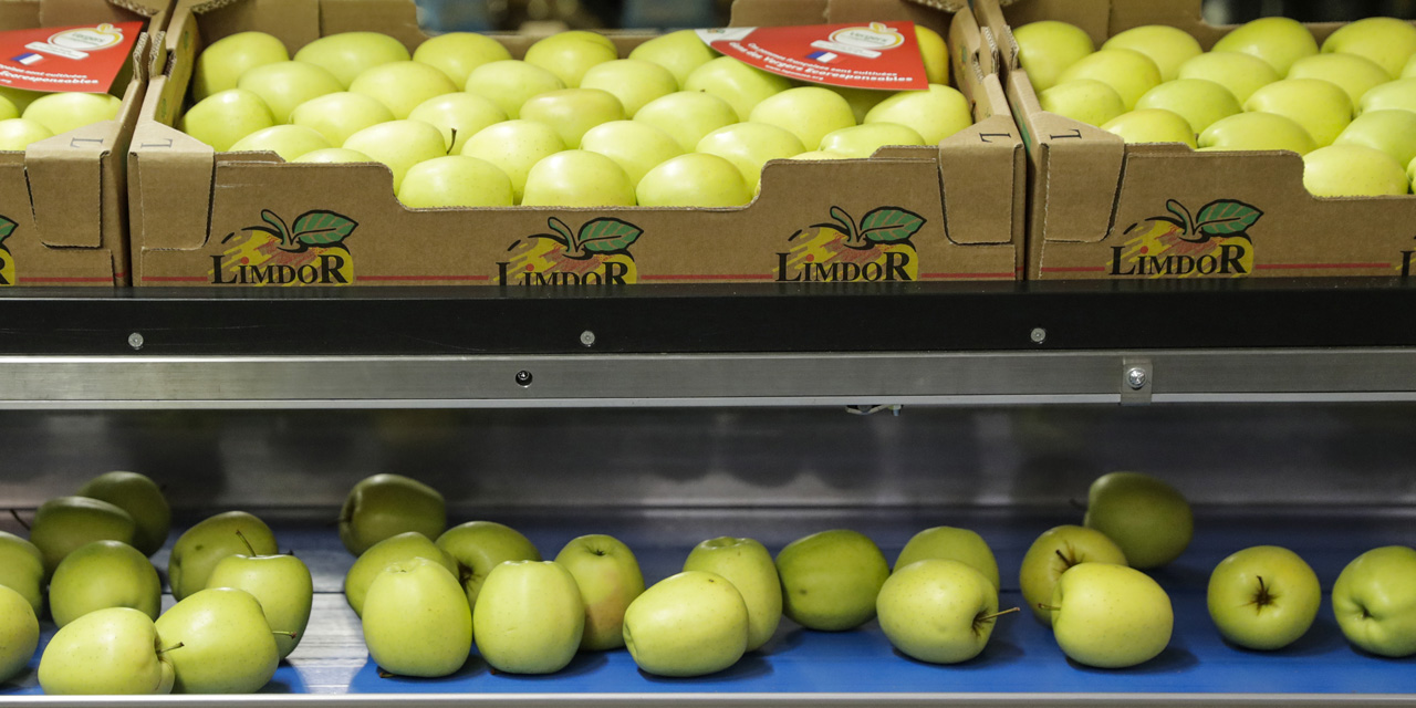 savez vous d ou vient la pomme