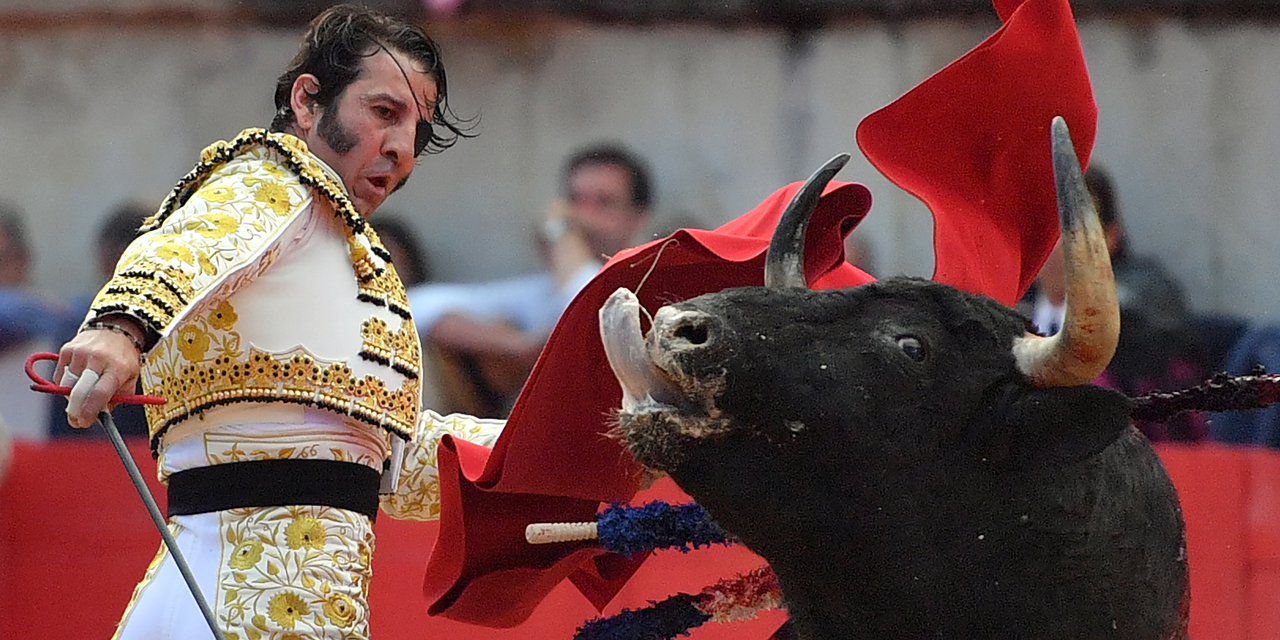 Video Corrida Un Torero Scalpe Par Un Taureau En Espagne Video Corrida Un Torero Scalpe Par Un Taureau En Espagne