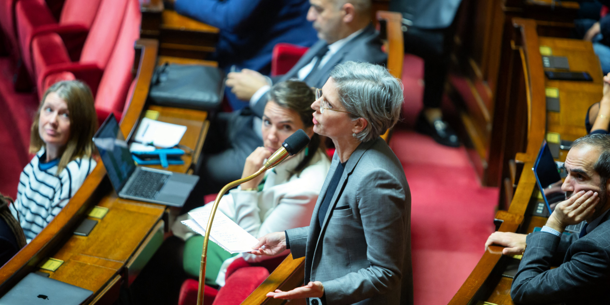 A l'Assemblée, Sandrine Rousseau esquisse un bras d'honneur et s'excuse