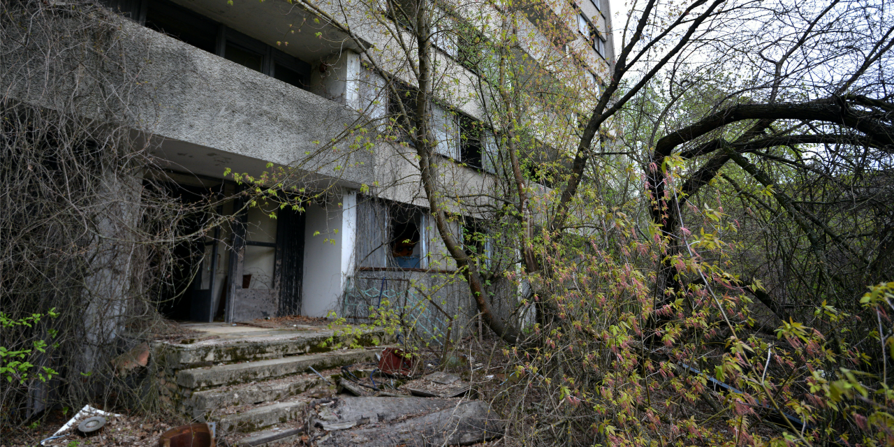 Mothman apparaît avant une catastrophe A-Tchernobyl-la-nature-a-repris-ses-droits