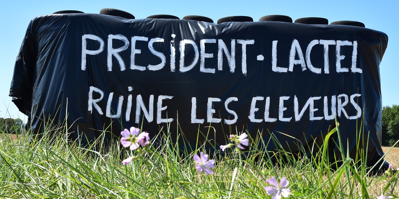 La crise du lait surveillée de près par l’exécutif