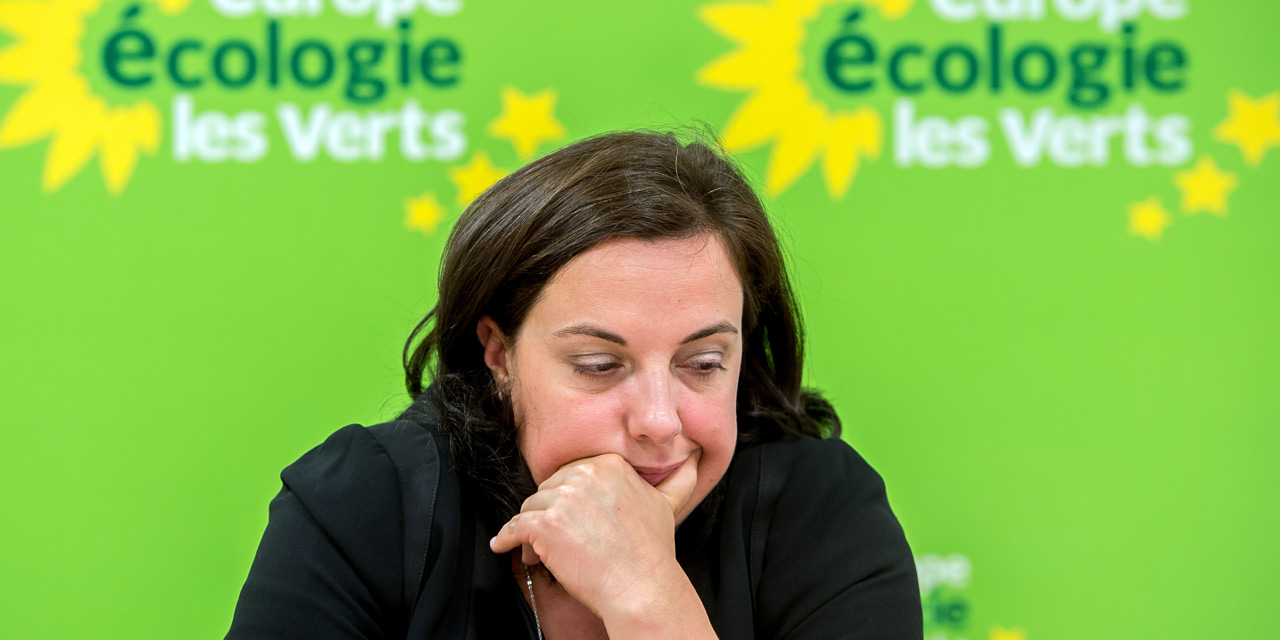 Régionales les écologistes se divisent (encore)