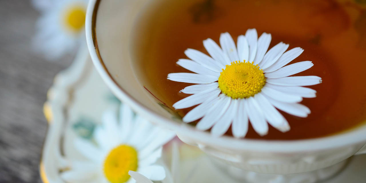 Phytothérapie, compléments alimentaires, huiles essentielles  comment