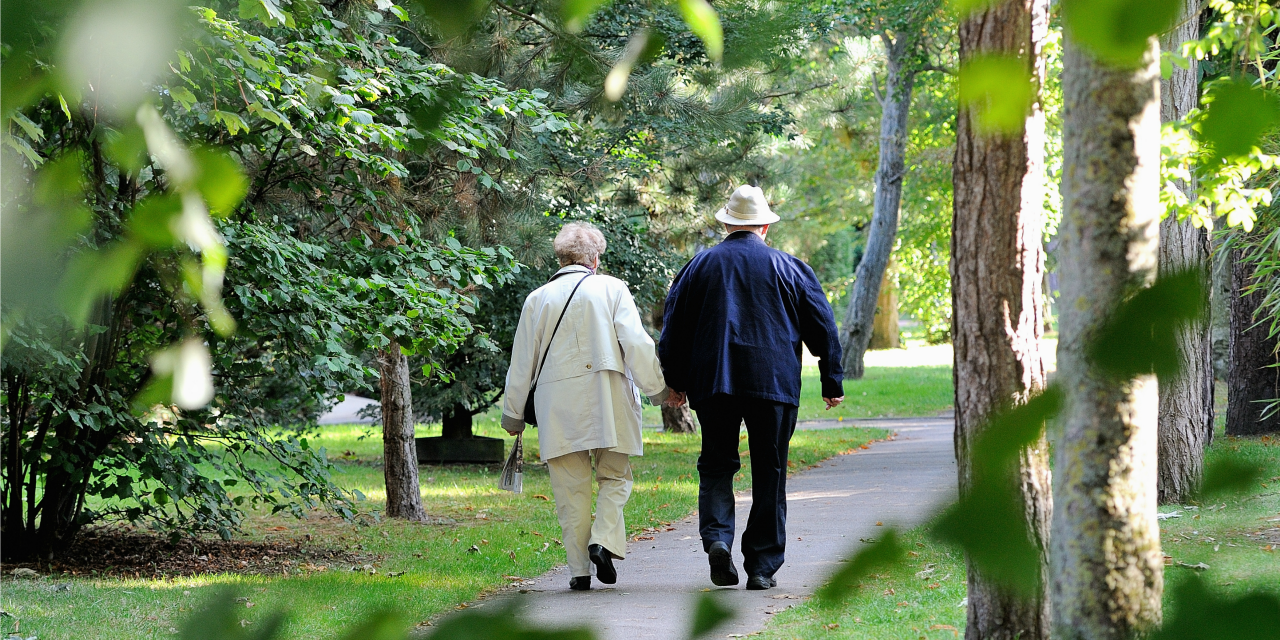 Jardiner ou promener le chien pourrait prolonger la vie des seniors