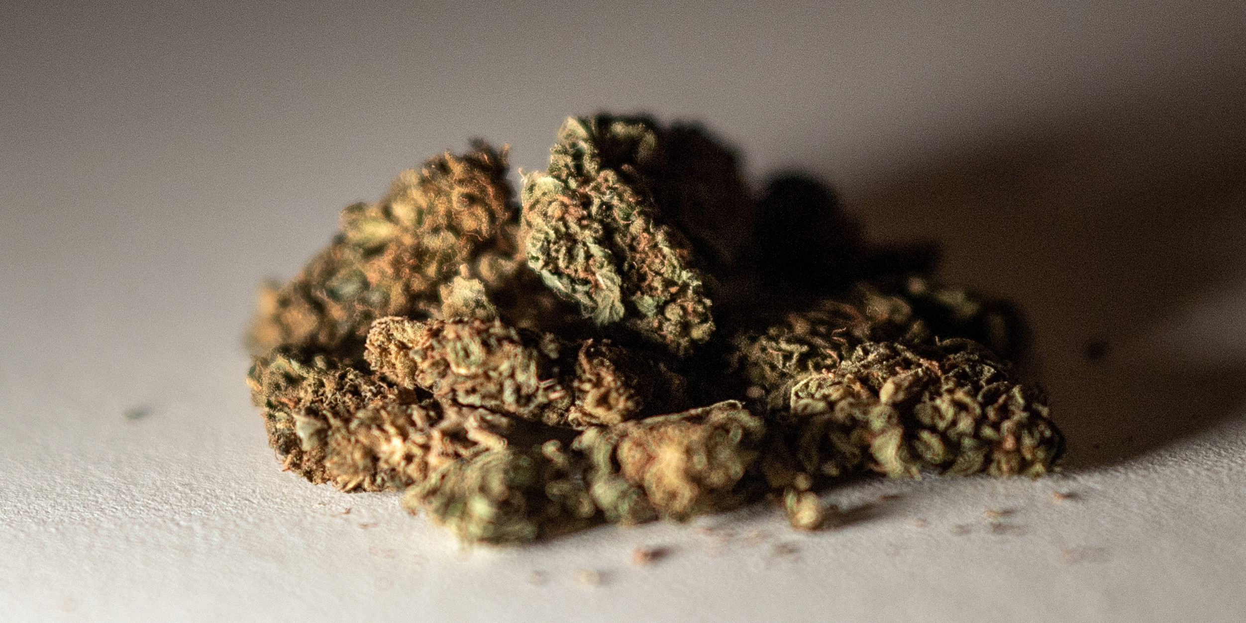 pourquoi la production naturelle de cbd n est pas encore autorisee en france