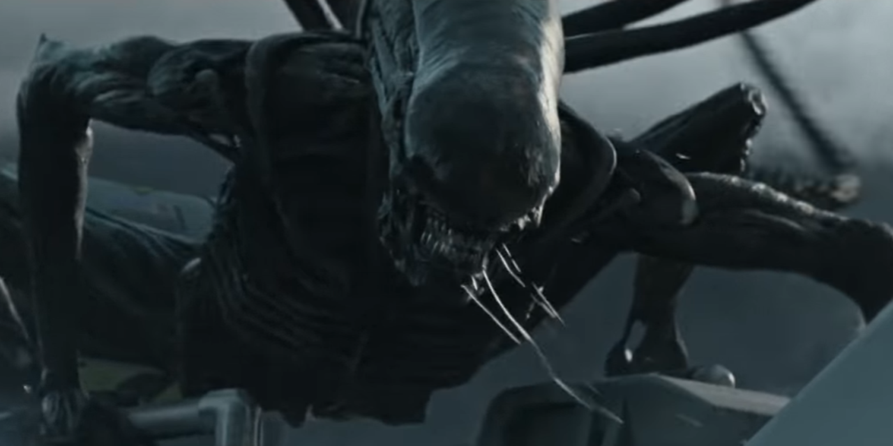 Le Film Alien Vous A Fait Peur Ces Deux Etres Bien Vivants Vont Vous Terrifier