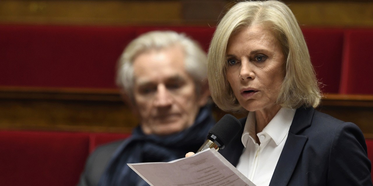 Duhamel Case Elisabeth Guigou Renounces Her Mission On Incest Teller Report