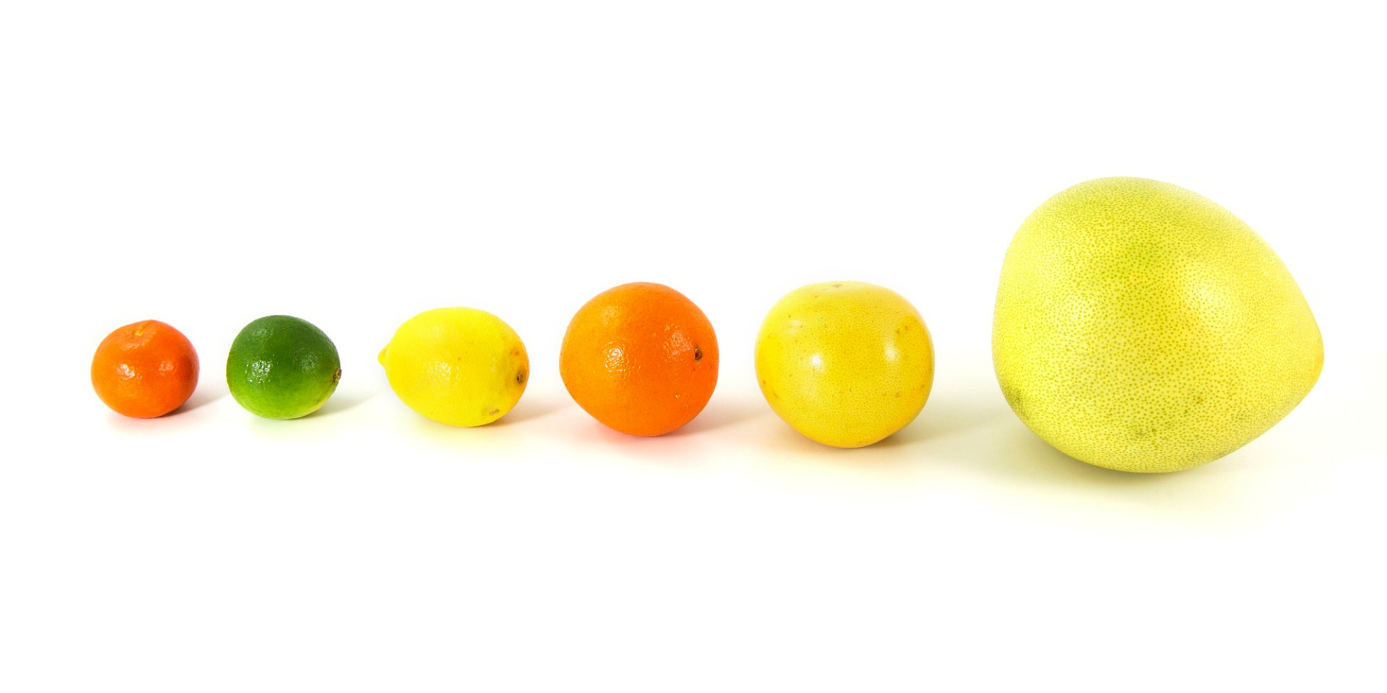 Comment ne pas confondre le pomelo et le pamplemousse