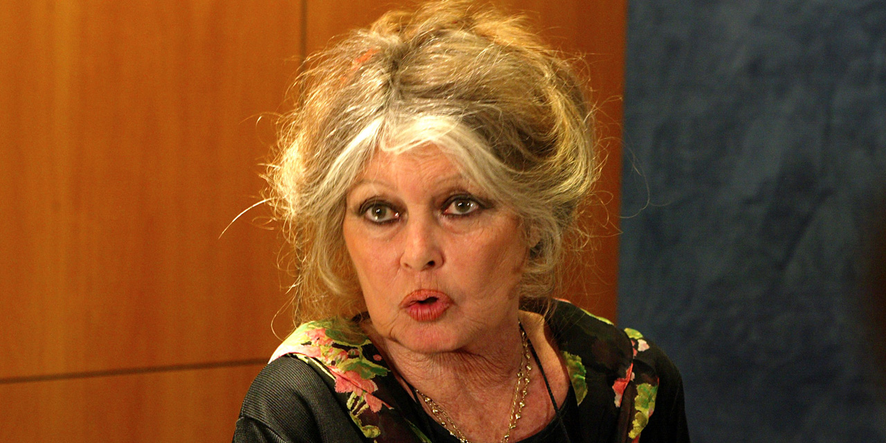 Domestic Animals Do Not Transmit The Coronavirus Recalls Brigitte Bardot Teller Report