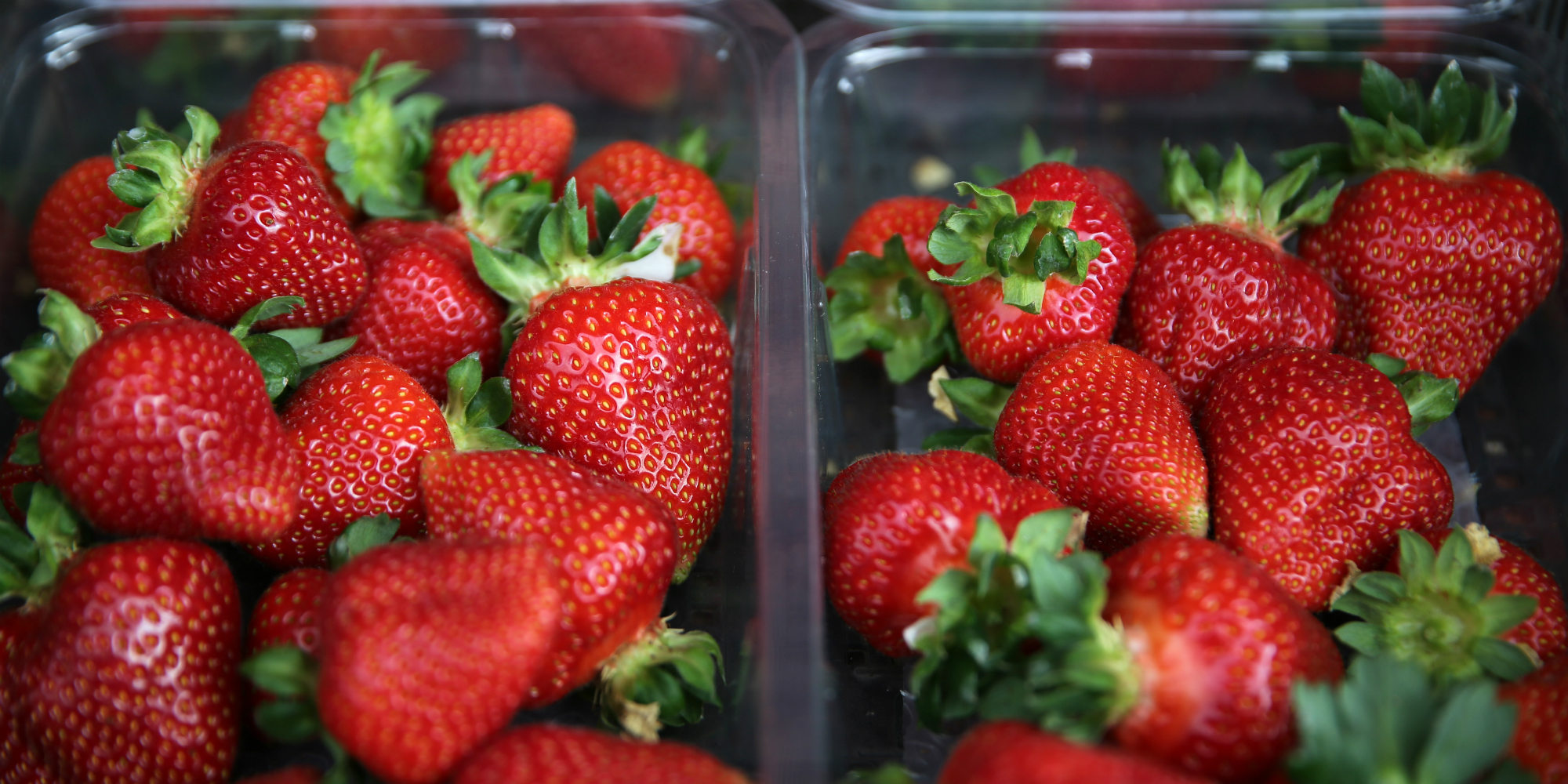 A La Courneuve Une Ferme Urbaine Fait Pousser Des Fraises En Hiver