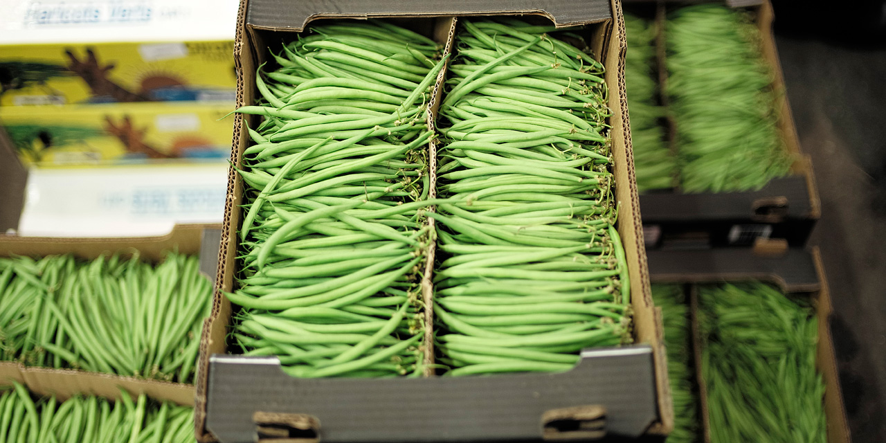 Des haricots verts "Notre jardin" rappelés par les ...