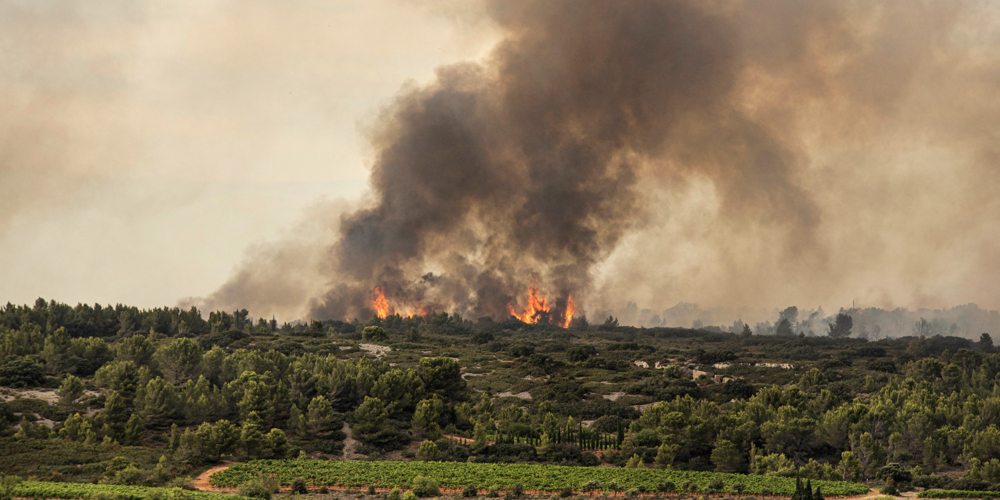 Incendie dans l'Aude : 850 hectares parcourus et des ...