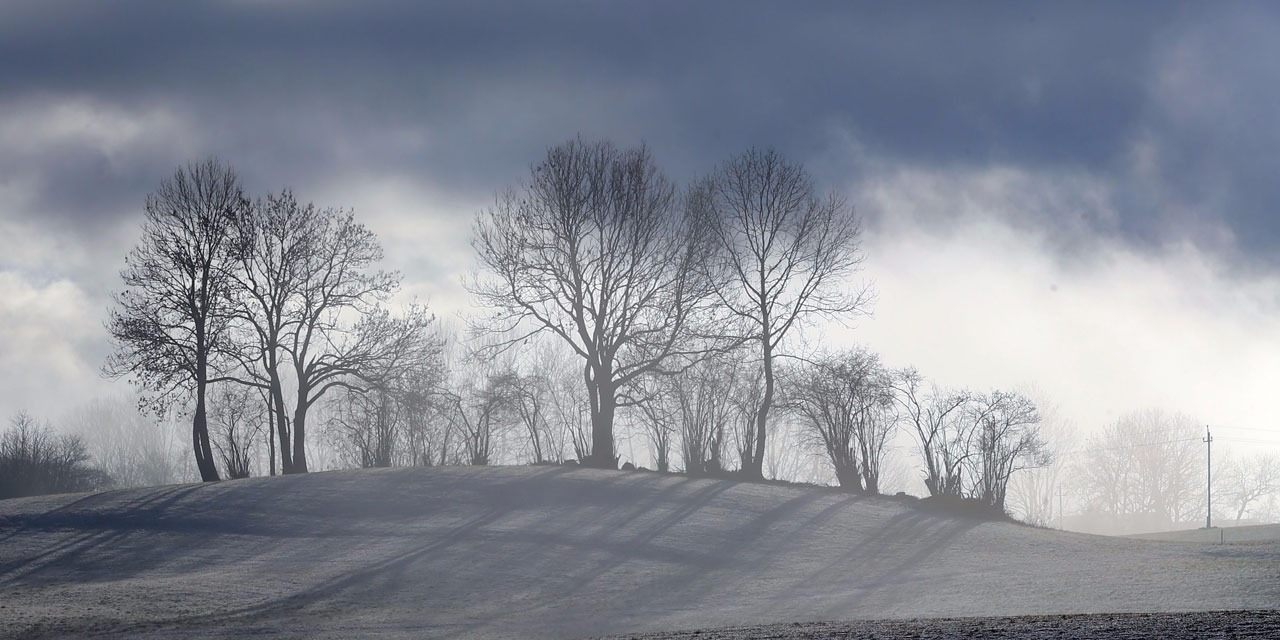 La Meteo Du Jeudi 14 Janvier De La Neige Dans L Est