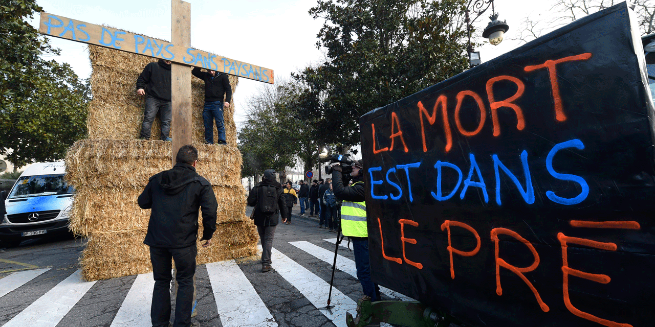 La Mort Est Dans Le Pré Streaming "La mort est dans le pré" : sur fond de suicides, des agriculteurs