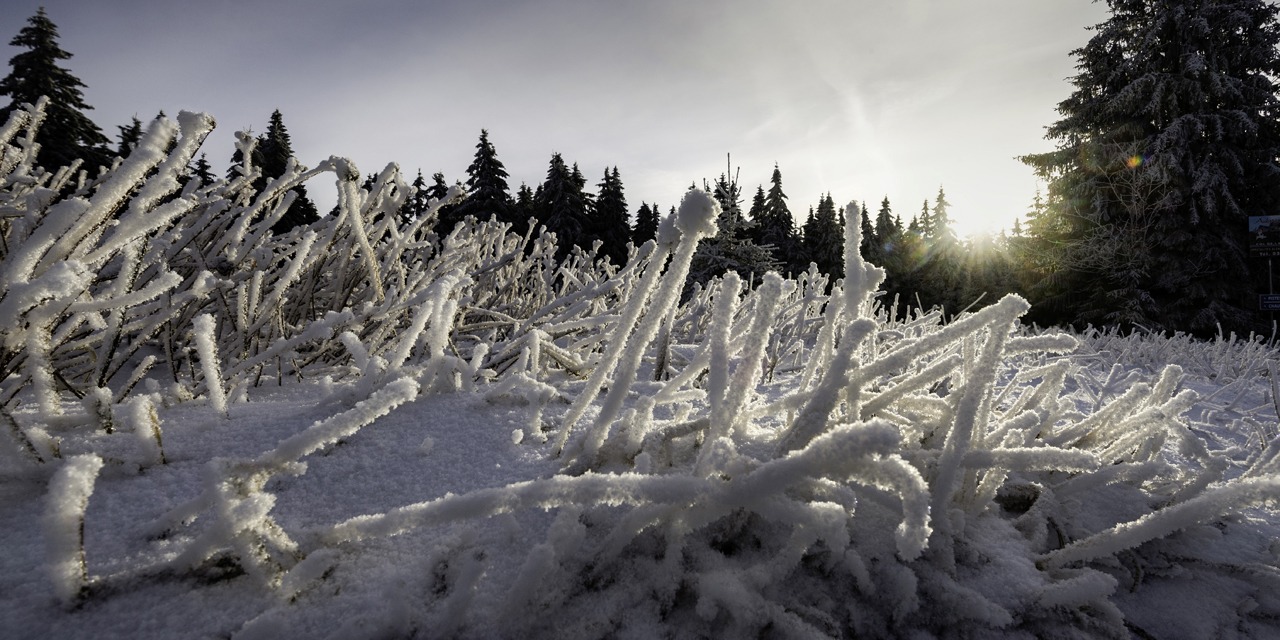 Quand La Neige A Recouvert La Plaine