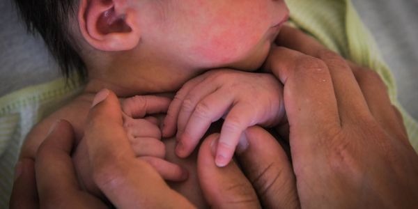 Le bébé enlevé près de Paris et retrouvé aux Pays-Bas semble en bonne santé Le bébé enlevé près de Paris et retrouvé aux Pays-Bas semble en bonne santé