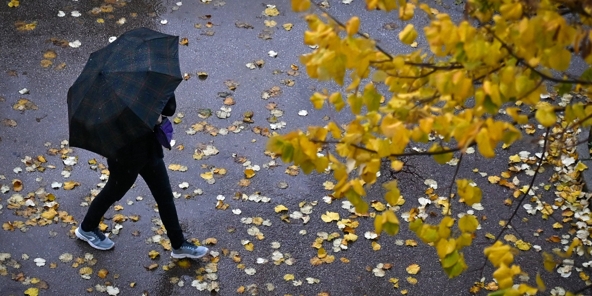 Le Temps Vendredi Pluie Et Vent Parfois Violent Le Temps Vendredi Pluie Et Vent Parfois Violent