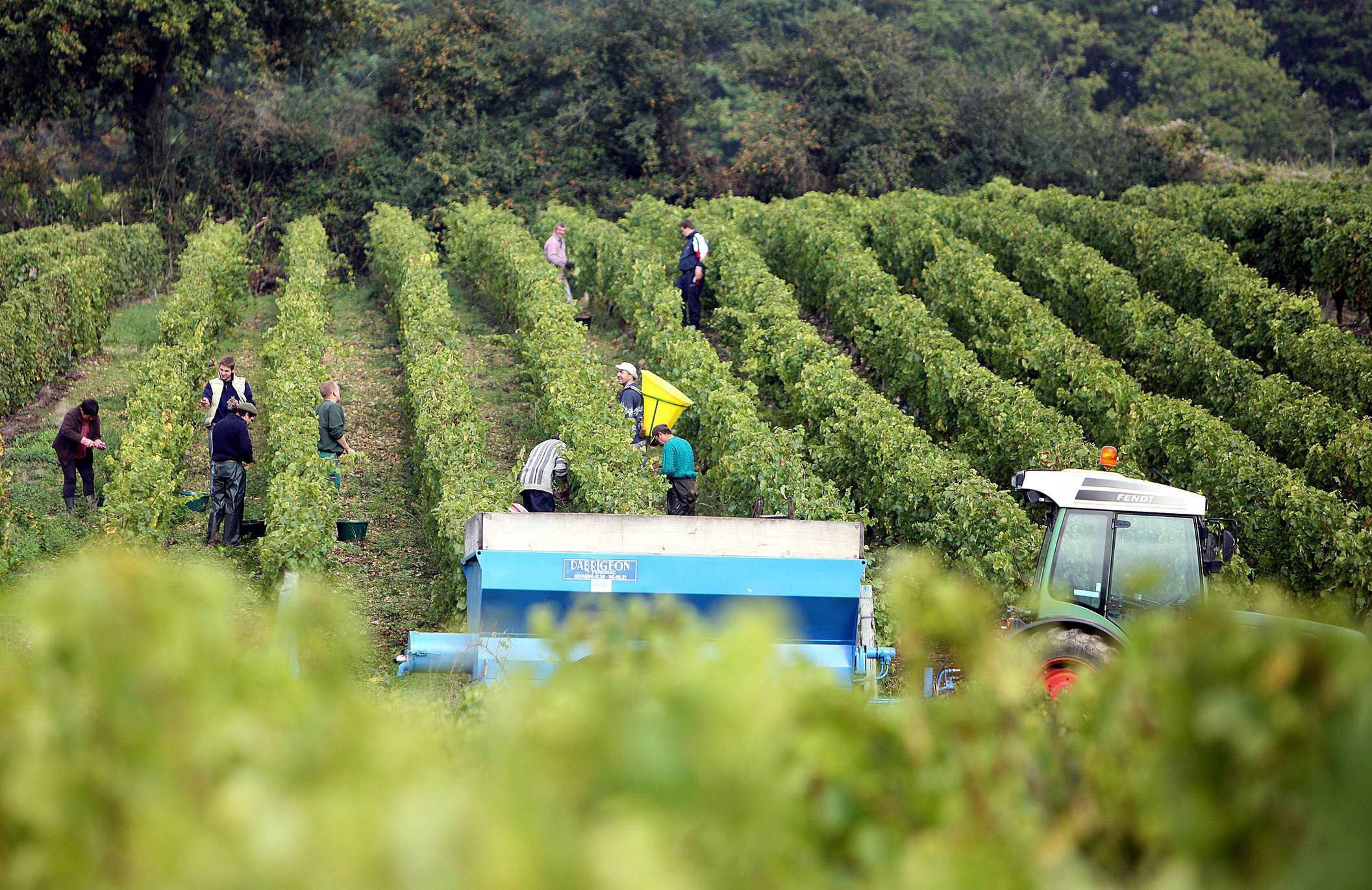 Le vin se bonifie grâce au satellite