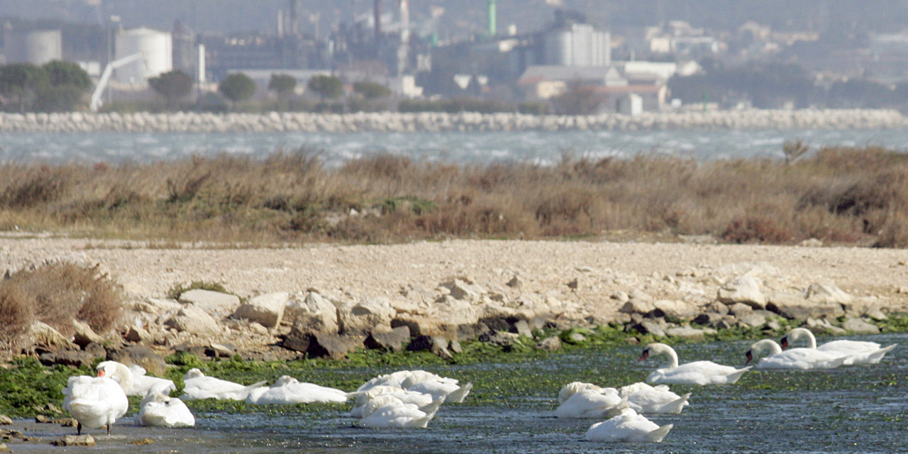 L'étang de Berre, bientôt classé au patrimoine mondial de l'Unesco
