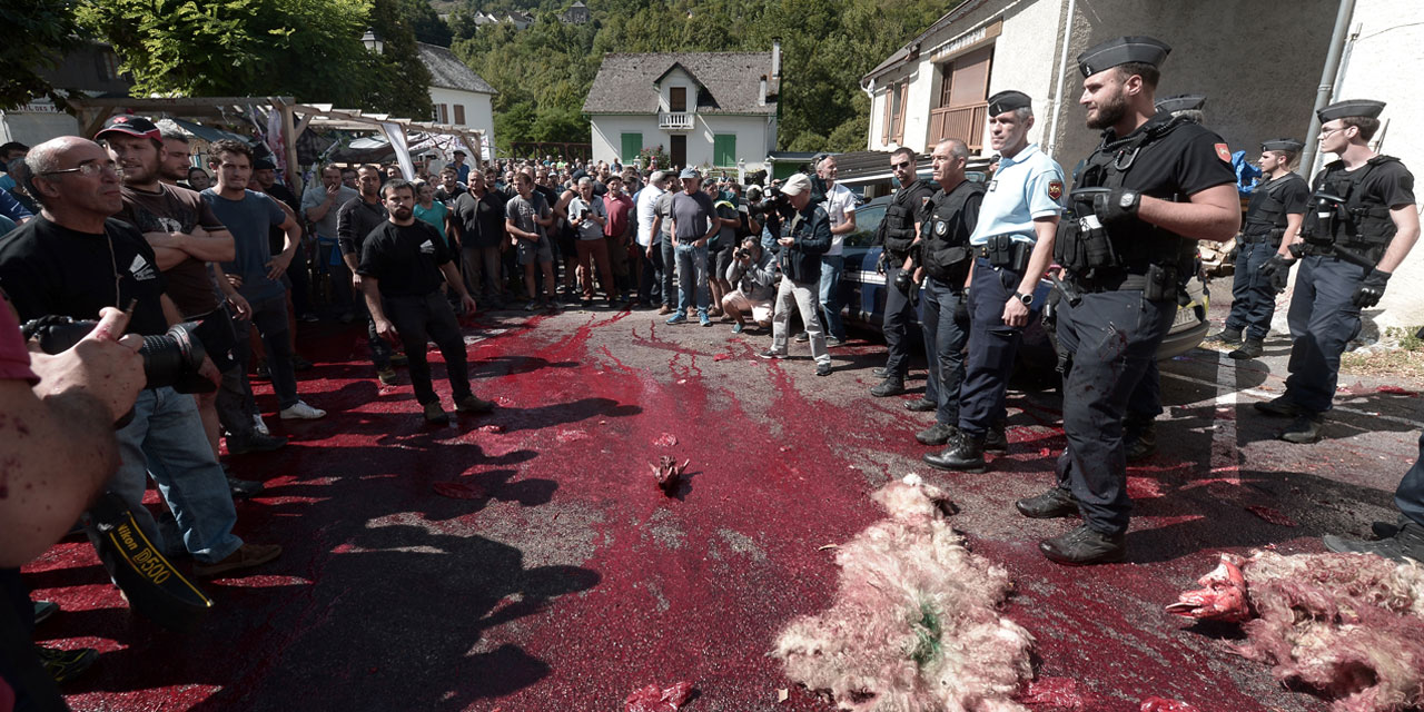 Manifestation anti-ours dans les Pyr  n  es-Atlantiques  malgr   d  part
