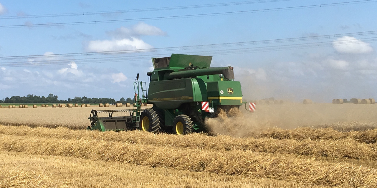 сельскохозяйствохозяйство тамбовской области. тамбовская сельхозтехника. агролесотехнические мероприятия. сельскохозяйствохозяйство тамбовской области. управление сельского хозяйства тамбовской.