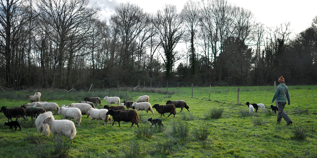 NotreDamedesLandes l'avenir des terres toujours en question