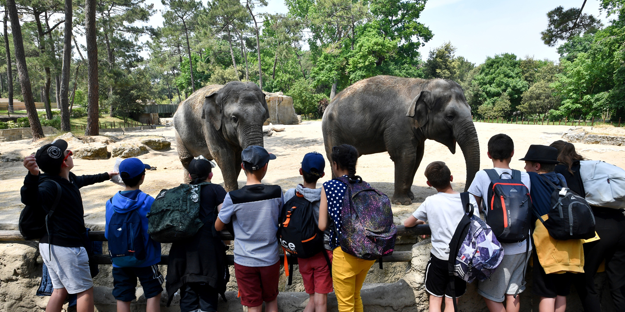 Notre top 3 des parcs animaliers