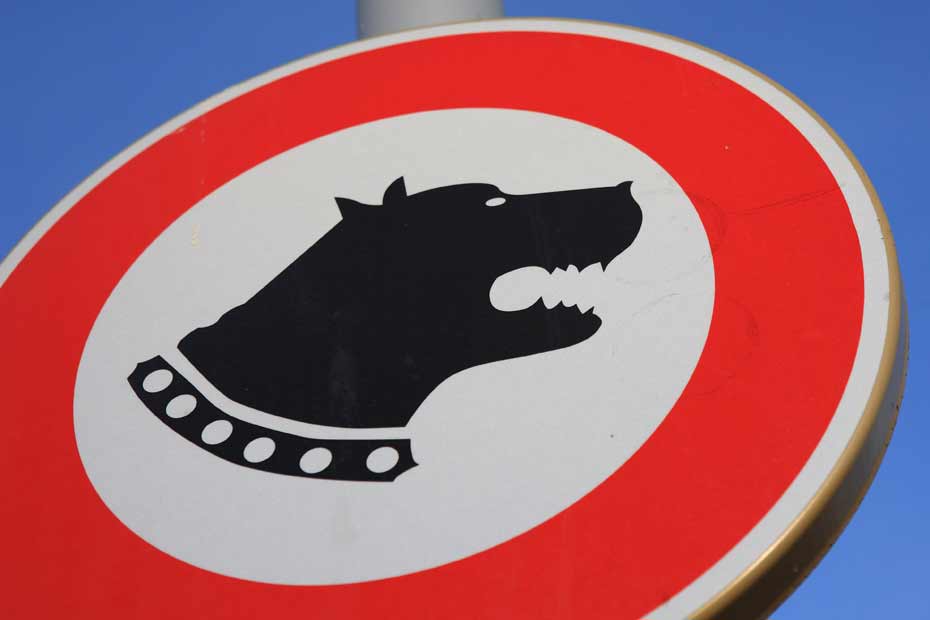 Pas Dindemnisation Pour Redouane Mutilé Par Des Chiens