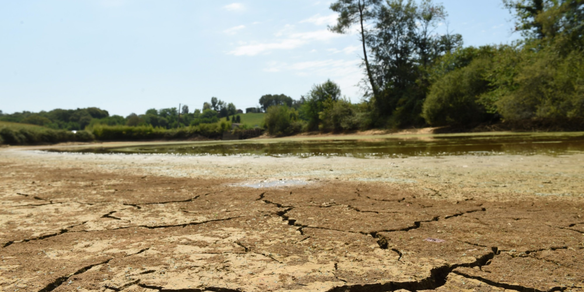 Sécheresse : malgré des sols secs, est-il possible de conserver ...